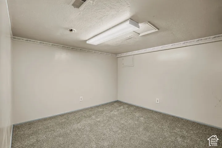 Recessed access panel, wall-to-wall carpeting, and fluorescent ceiling fixture