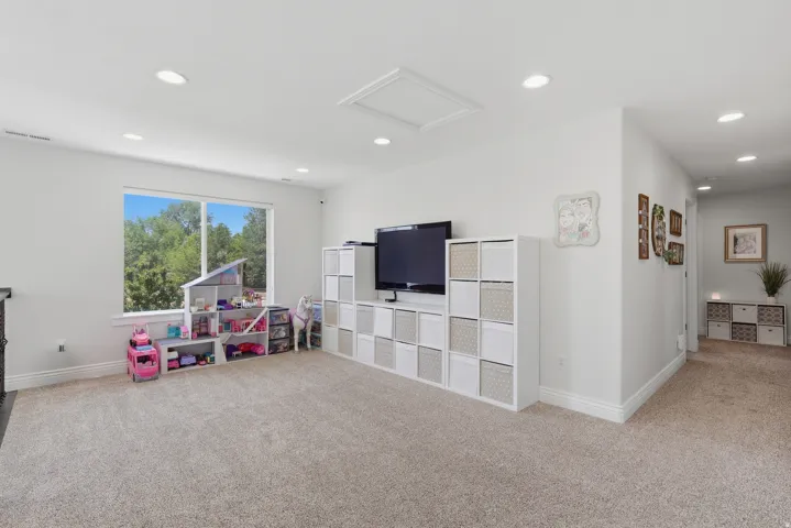 Large Loft