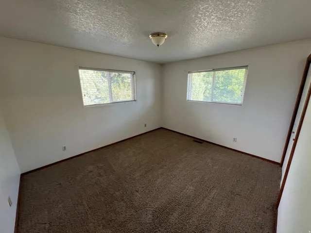 Spacious bedroom featuring neutral wall finishes, textured ceiling, abundant natural light from dual windows, and neutral carpet flooring throughout