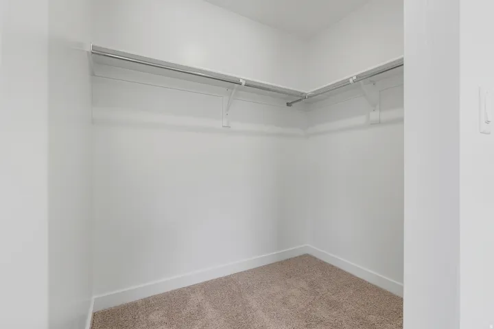 Spacious walk-in closet featuring dual clothing rods, generous shelving, and carpeted flooring throughout