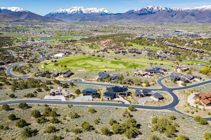 Expansive residential community with established homes featuring winding roadways and verdant landscaping