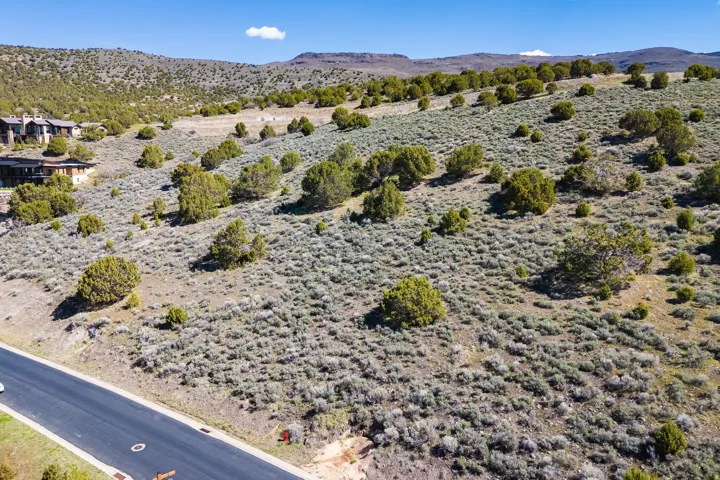 Expansive sloped terrain featuring natural sagebrush and scattered evergreen trees
