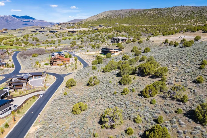 Expansive undeveloped lot with natural ground cover and scattered trees, offering a gradual slope
