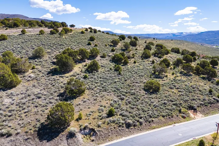 Expansive sloped terrain featuring natural brush and scattered evergreen trees
