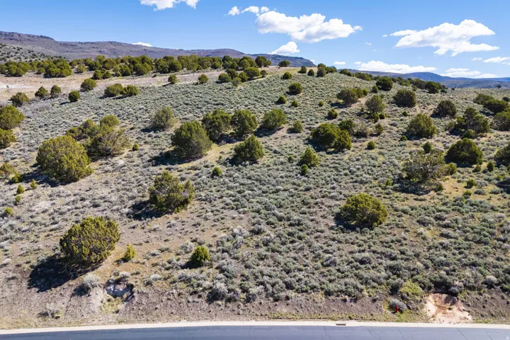 Expansive undeveloped land featuring natural terrain with scattered evergreen shrubs and diverse ground cover