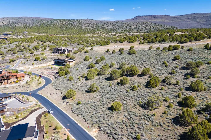 Rolling terrain featuring scattered evergreen trees and low-lying scrub brush