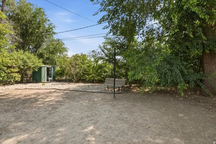 Expansive outdoor space featuring a green storage shed, mature trees, and a wooden bench