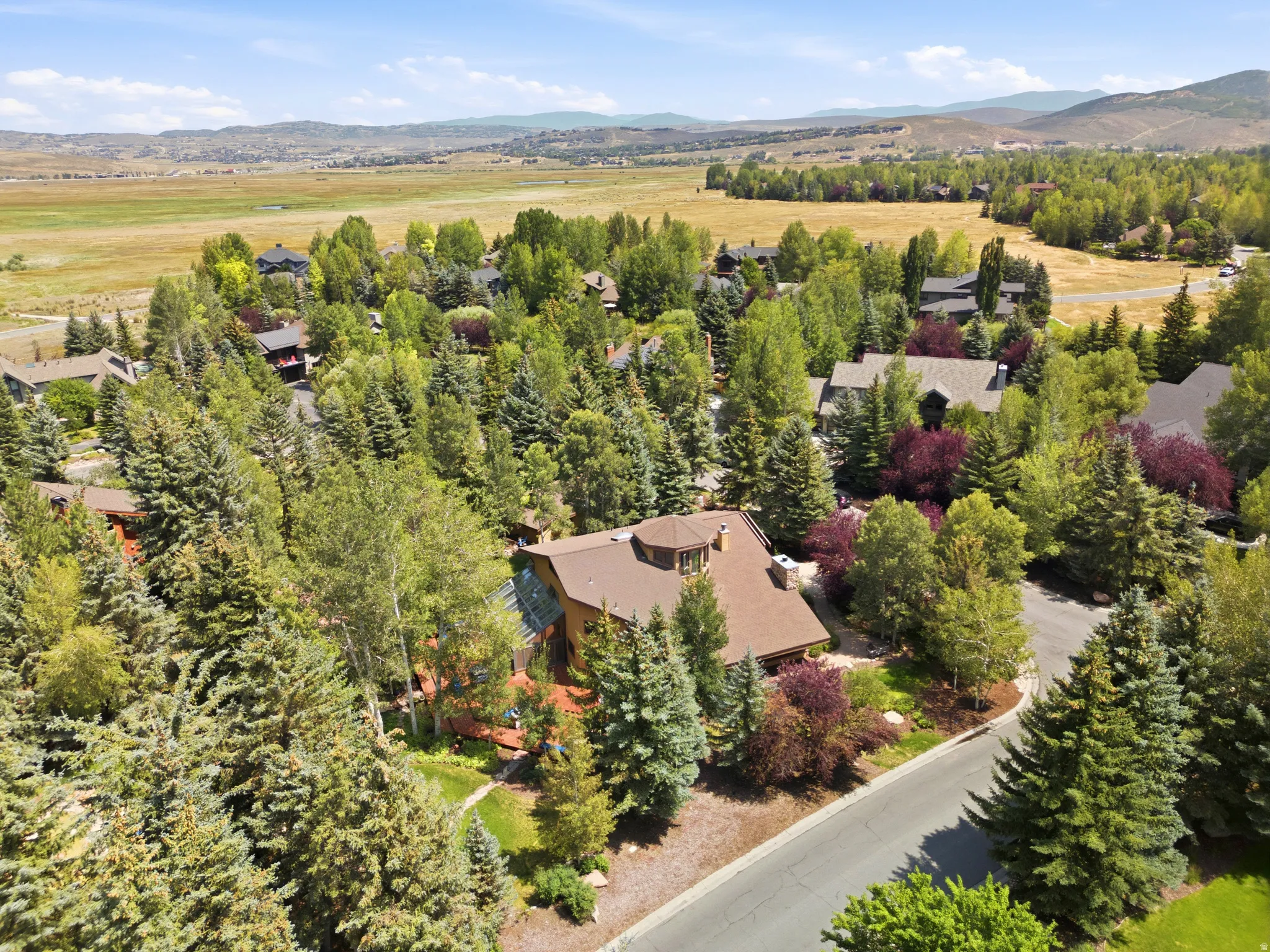 Property featuring extensive mature tree coverage, a private driveway, and a natural setting