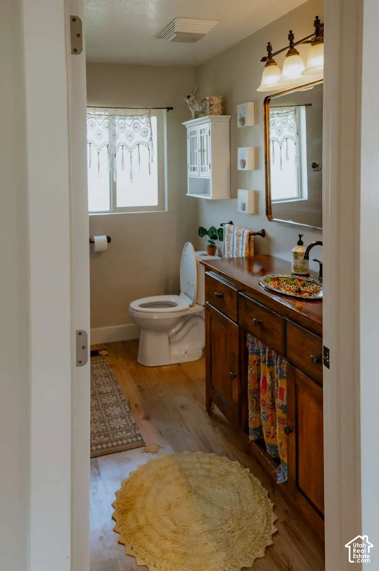 Bathroom featuring wood-finish flooring, a wood vanity with a drop-in sink, a wall-mounted cabinet, and an attached three-light fixture over the mirror