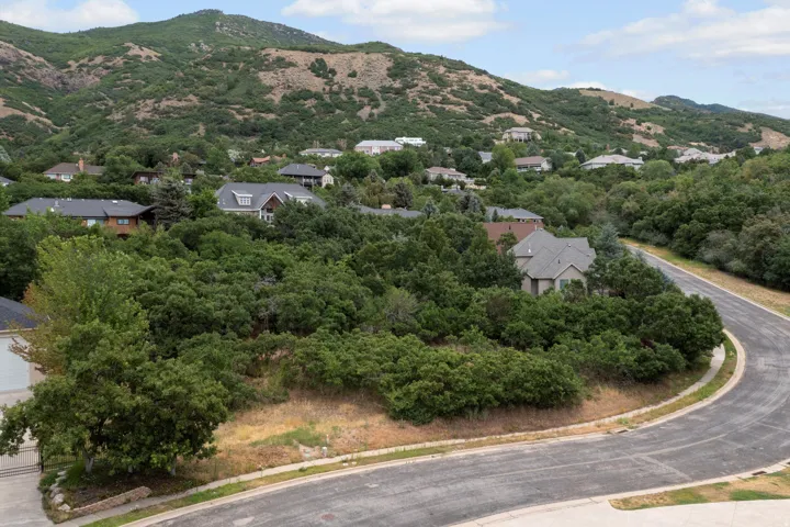 Hilltop residence nestled on a private, tree-lined lot with mature landscaping and rolling hill backdrop