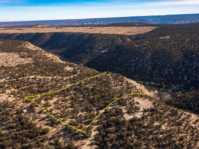 Drone Views!