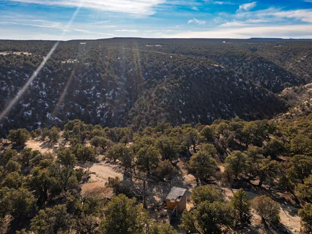 Beautiful Property Views - tons of trees and nice flat spots!