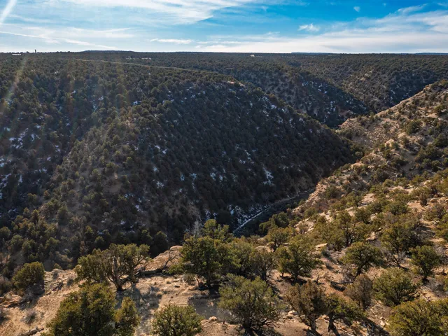 Beautiful Property Views - tons of trees and nice flat spots!