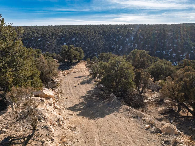 Beautiful Property Views - tons of trees and nice flat spots!