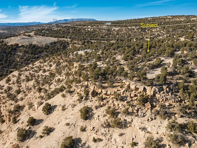 Beautiful Property Views - tons of trees and nice flat spots!