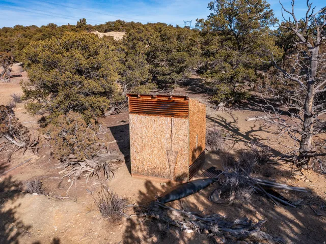Beautiful Property Views - tons of trees and nice flat spots!