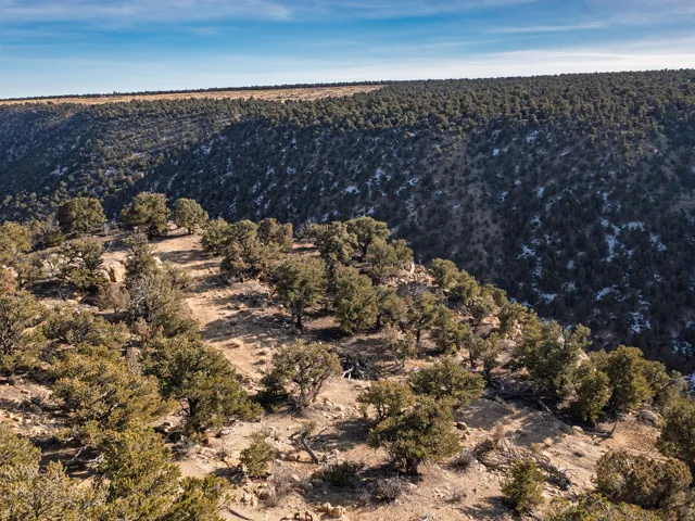 Beautiful Property Views - tons of trees and nice flat spots!
