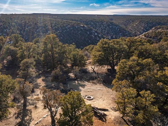 Beautiful Property Views - tons of trees and nice flat spots!
