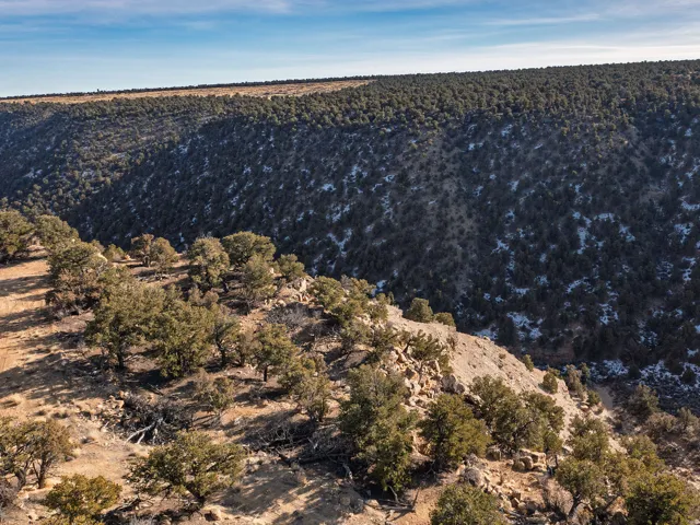 Beautiful Property Views - tons of trees and nice flat spots!