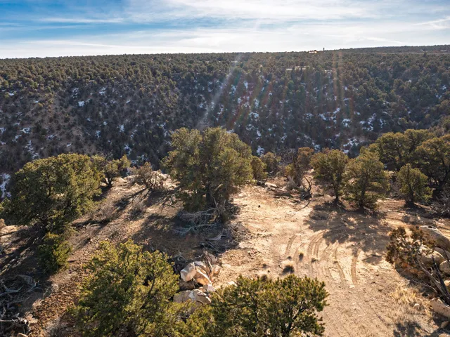 Beautiful Property Views - tons of trees and nice flat spots!