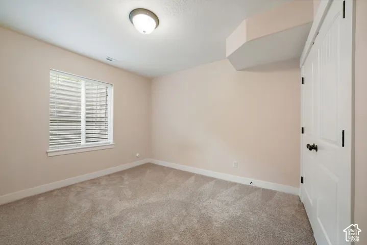 Plush carpet flooring, neutral painted walls, ceiling-mounted light fixture, white window blinds, and a white panel door with dark hardware