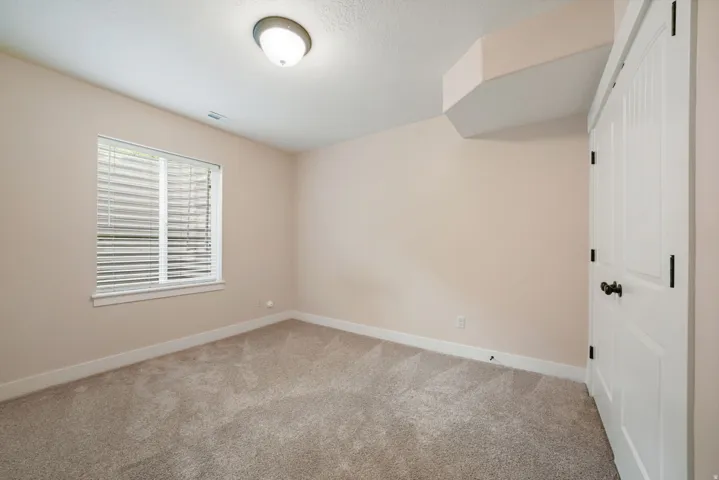 Plush carpet flooring, neutral painted walls, ceiling-mounted light fixture, white window blinds, and a white panel door with dark hardware