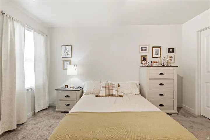 Plush carpeting, a window with blinds, and neutral wall tones