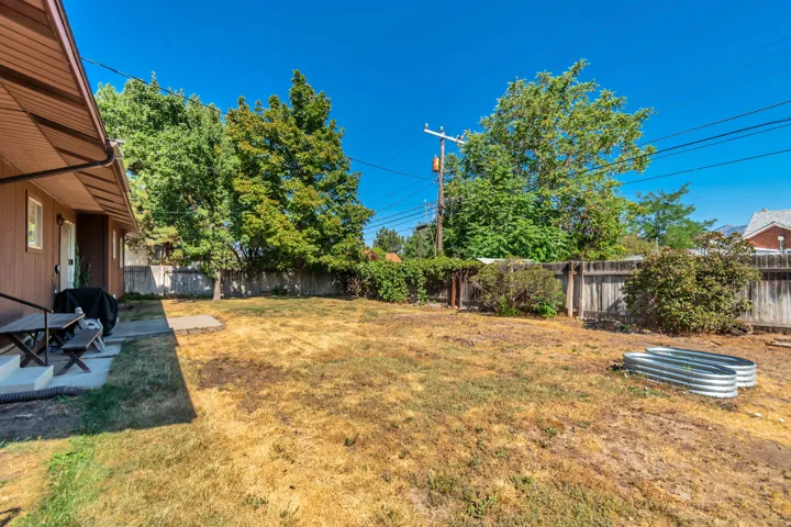 Expansive backyard with level lawn and mature tree canopy providing natural shade