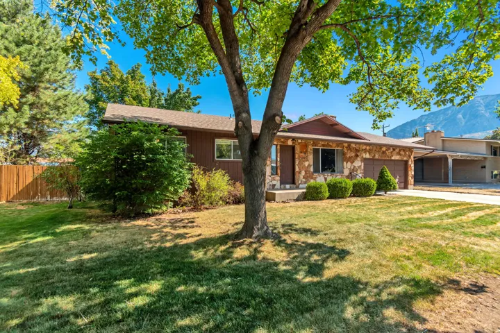 Stone facade, attached garage, mature front yard tree, established shrubs, and a paved driveway