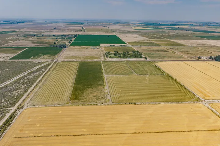Expansive agricultural parcels with varying crop types and established tree lines