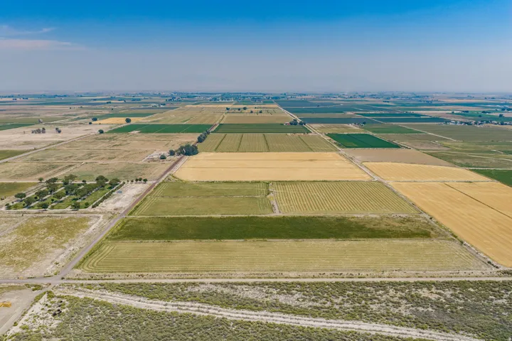 Expansive agricultural land featuring a variety of cultivated fields, structured road networks, and scattered mature trees
