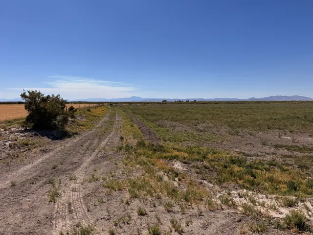 Expansive open land with varied ground cover, distant mountains, and a clear sky
