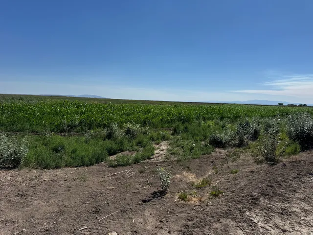 6000 W 200 S, Delta, Utah 84624