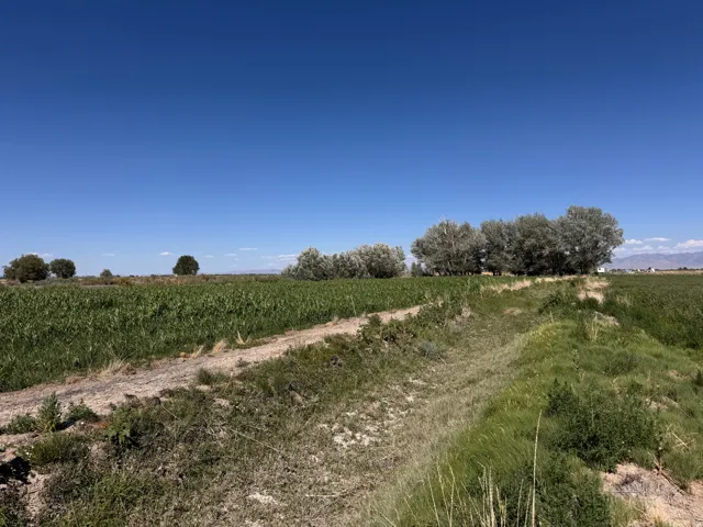 6000 W 200 S, Delta, Utah 84624