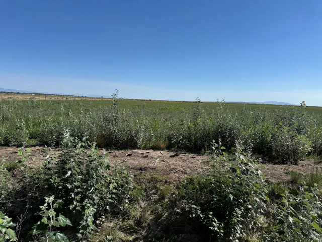 6000 W 200 S, Delta, Utah 84624