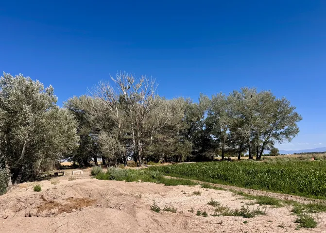6000 W 200 S, Delta, Utah 84624