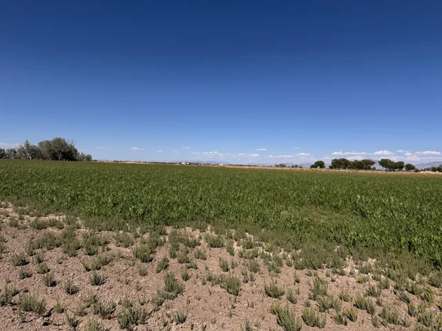 6000 W 200 S, Delta, Utah 84624