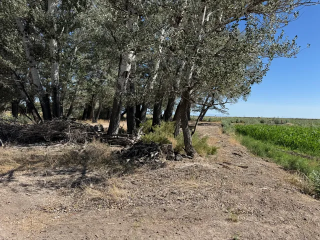 6000 W 200 S, Delta, Utah 84624
