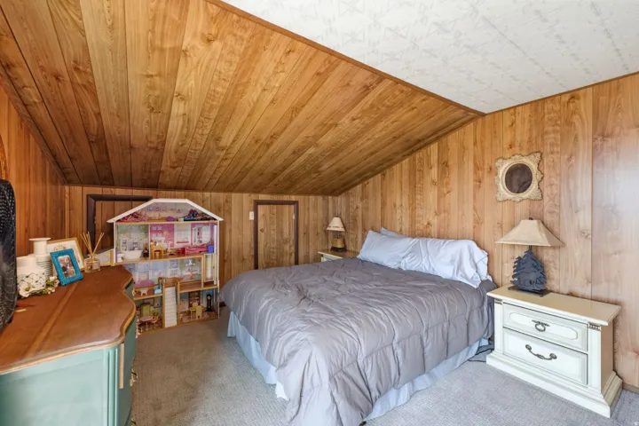 Wood paneling throughout, angled wood-paneled ceiling, and carpeted flooring