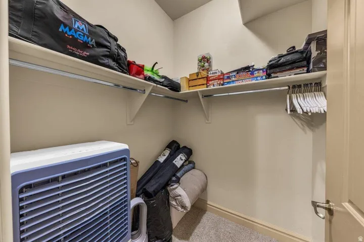 Dedicated storage closet featuring wall-mounted shelving with multiple tiers, carpet flooring, and ample space for seasonal items and household equipment storage