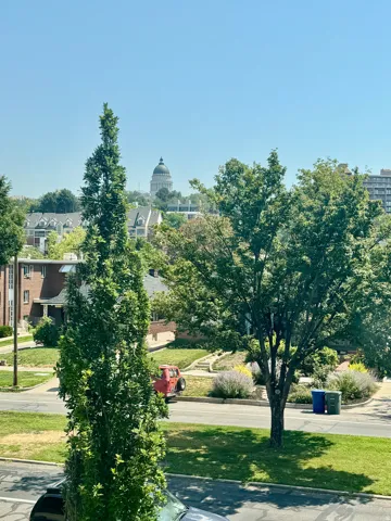 Distant architectural dome surrounded by mature trees and residential structures, with established landscaping visible in the foreground