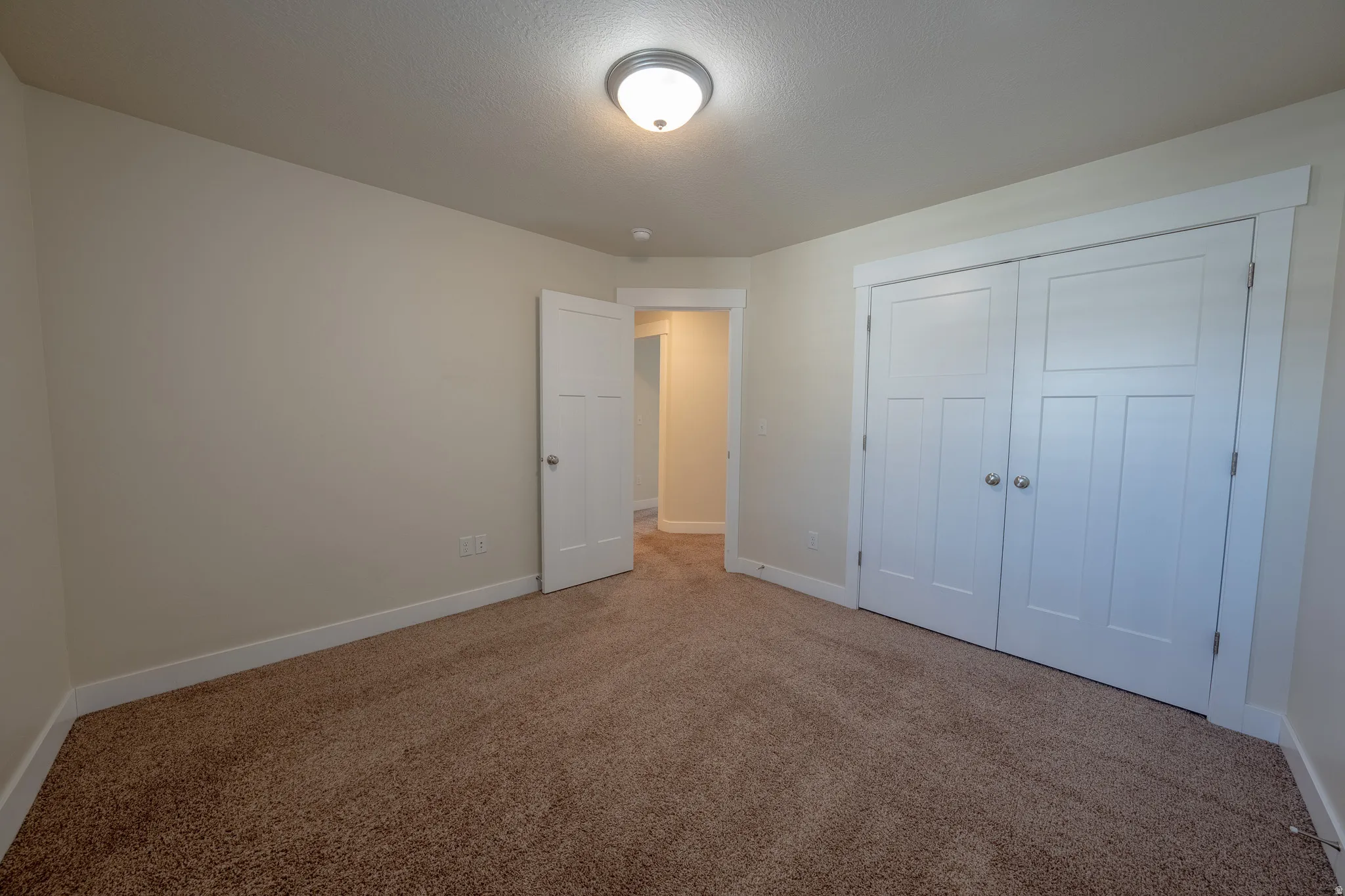 Neutral-toned carpet flooring, white trim, and a ceiling-mounted light fixture