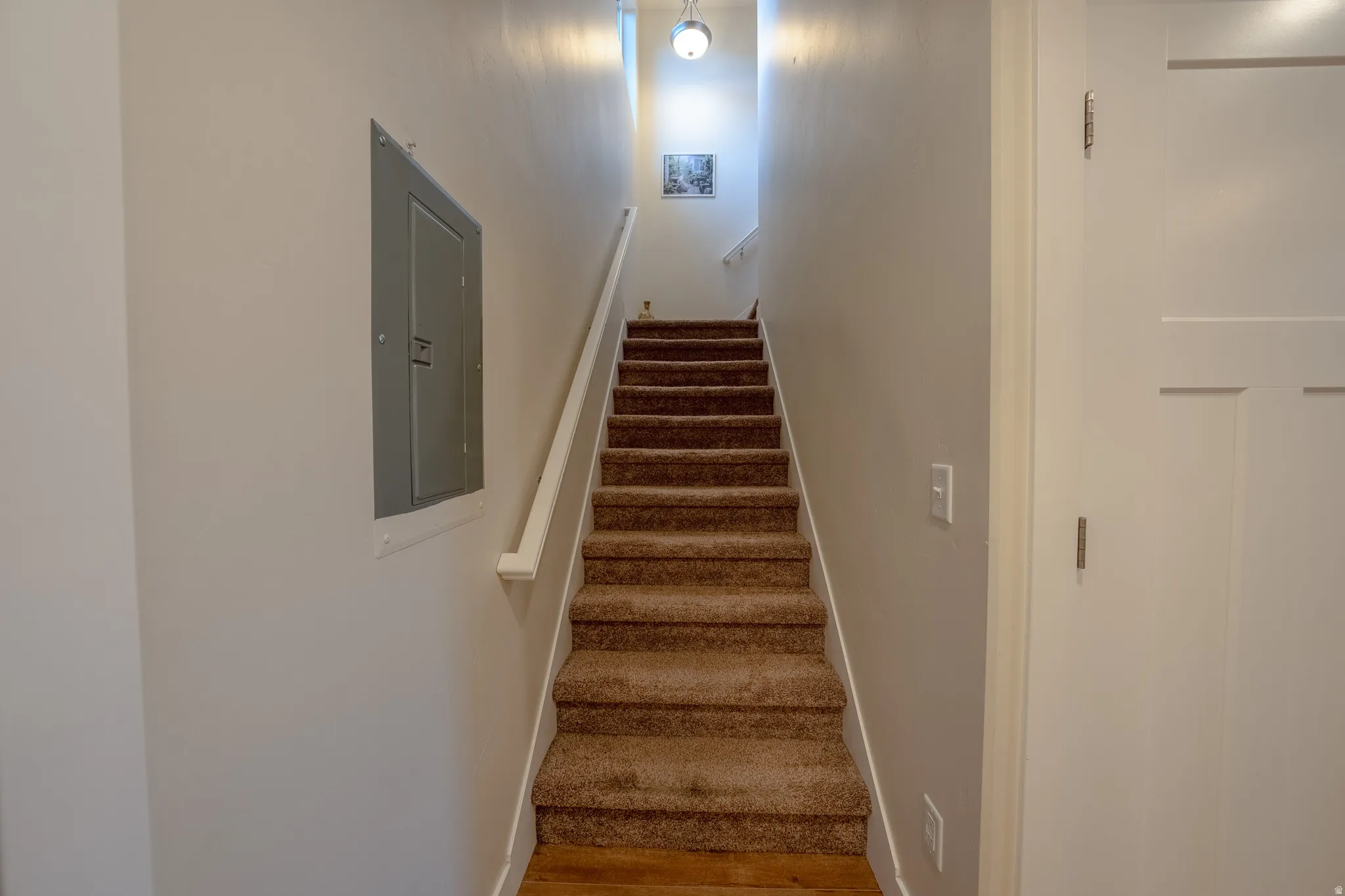 Staircase with carpeted treads, wood-finish flooring at the base, and a white handrail