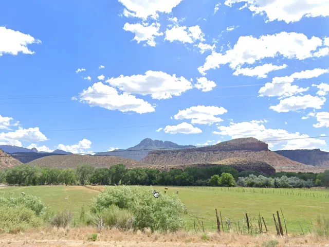 Expansive green pasture with a backdrop of rugged mountains and mature trees