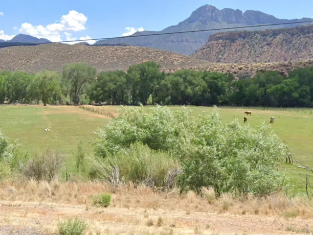 Expansive green field with mature trees and mountain backdrop