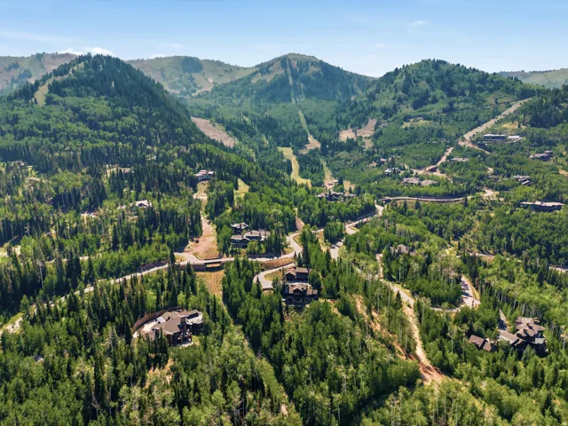 Aerial perspective showcasing mountainous terrain with extensive forest coverage
