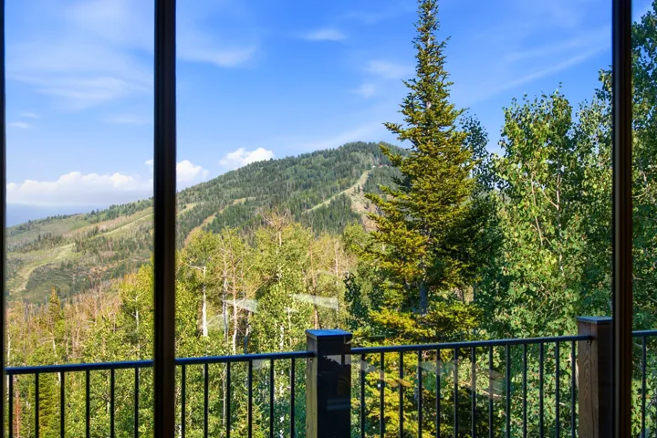 Expansive mountain scenery with dense tree coverage