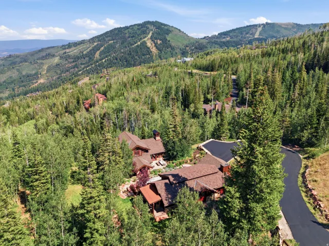 Extensive natural landscaping with mature trees, mountain backdrop, and paved driveway