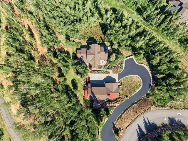 Asphalt driveway leading to two distinct property structures surrounded by dense tree coverage