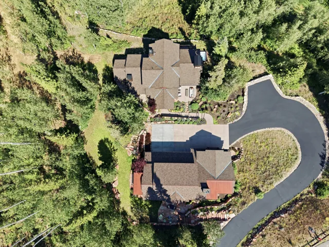 Expansive wooded property with two distinct residences, a winding paved driveway, and established landscaping